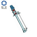 Stainless Steel Vertical Chemical Circulating Pump